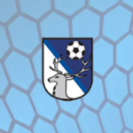 Moravská Třebová 0:2 Letohrad